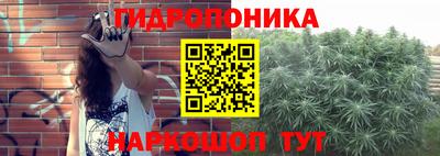 шишки Пыть-Ях