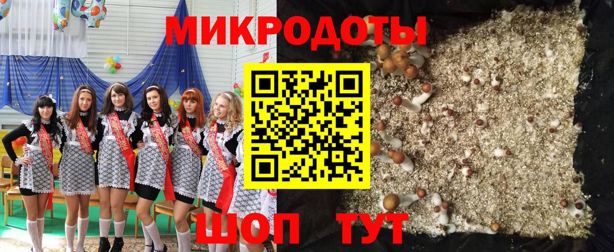 Псилоцибиновые грибы Psilocybine cubensis Полысаево